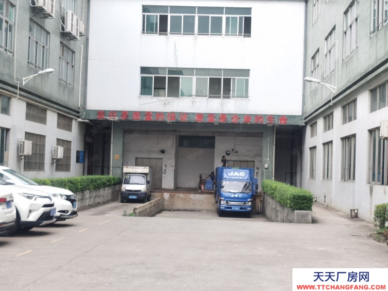 (出租) 東莞獨(dú)立廠房520平,860平,1700平等各種規(guī)格,形象高大上