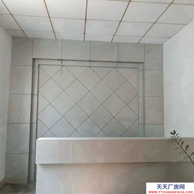 (出租) 東莞獨院廠房出租,長安鎮宵邊全新小獨院3層4000平帶地坪漆廠房