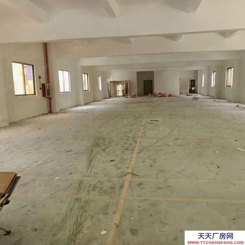 (出租) 東莞獨院廠房出租,長安鎮宵邊全新小獨院3層4000平帶地坪漆廠房