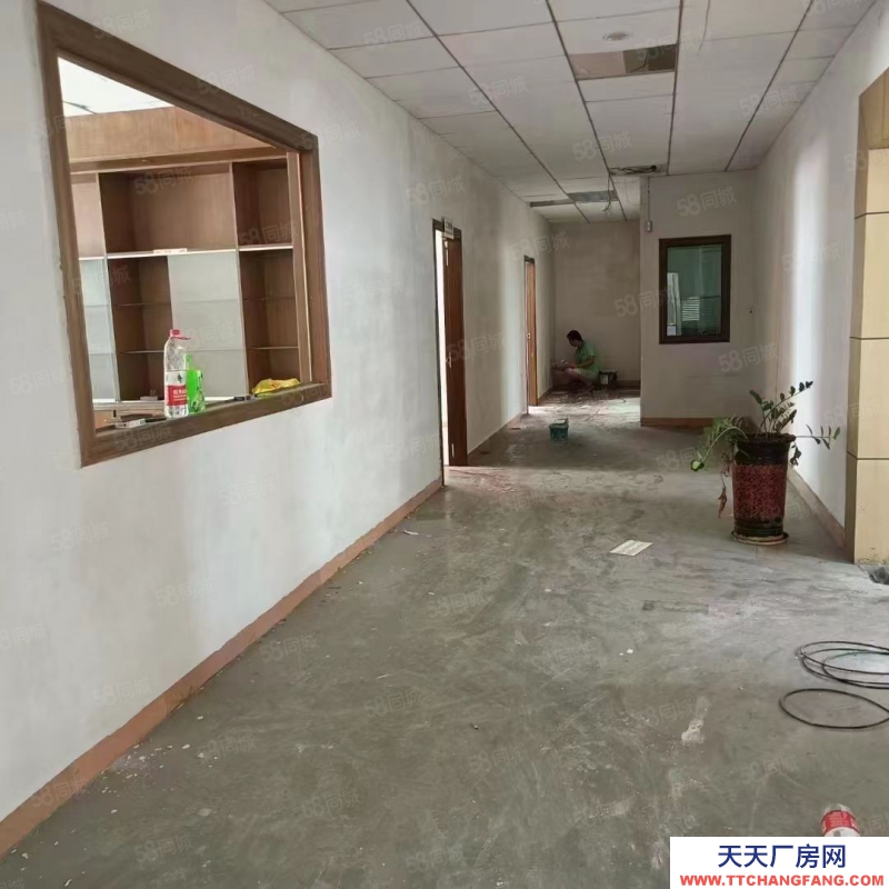 (出租) 東莞獨院廠房出租,長安鎮宵邊全新小獨院3層4000平帶地坪漆廠房