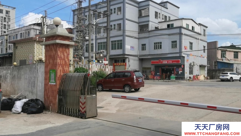 (出租) 東莞超低價原房東紅本10元200平起石排無公攤廠房倉庫一樓出租