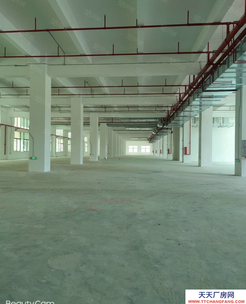 (出租) 東莞重工業廠房火爆招租 自帶家具環評 可分租 證件齊全