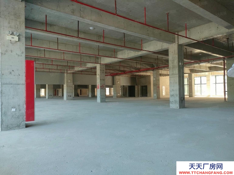 (出售) 東莞全新標準廠房出售1000平起 首付3成起 整層2000平