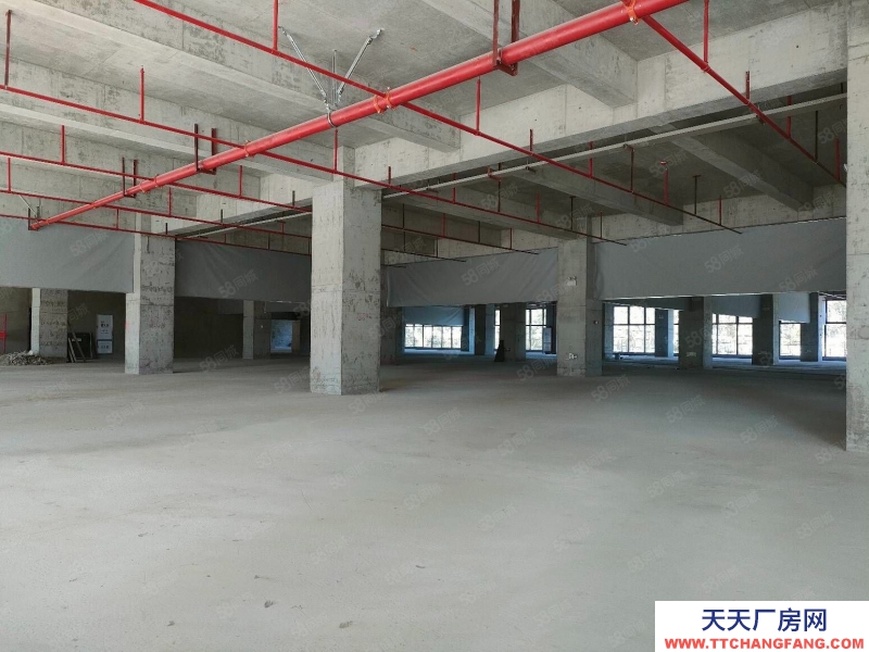 (出售) 東莞全新標準廠房出售1000平起 首付3成起 整層2000平