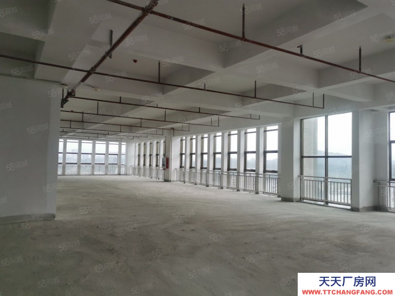 (出售) 東莞長安宵邊新出6000平廠房出售帶工業紅本股權過戶