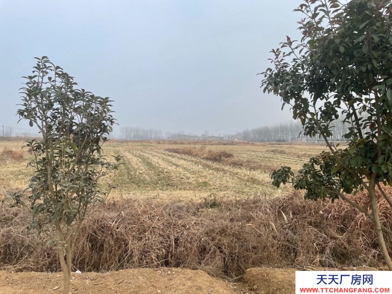 (出售) 蚌埠淮上沫河口工業園 285畝土地 50000平方廠房 主路邊上