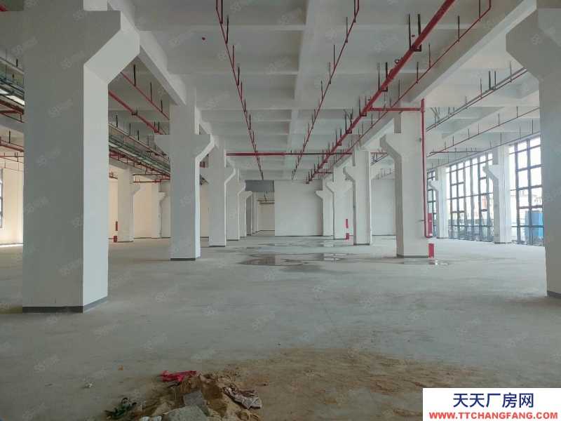 (出售) 東莞中堂紅本現(xiàn)房出售整層2000平1000平起售首付三成起50年