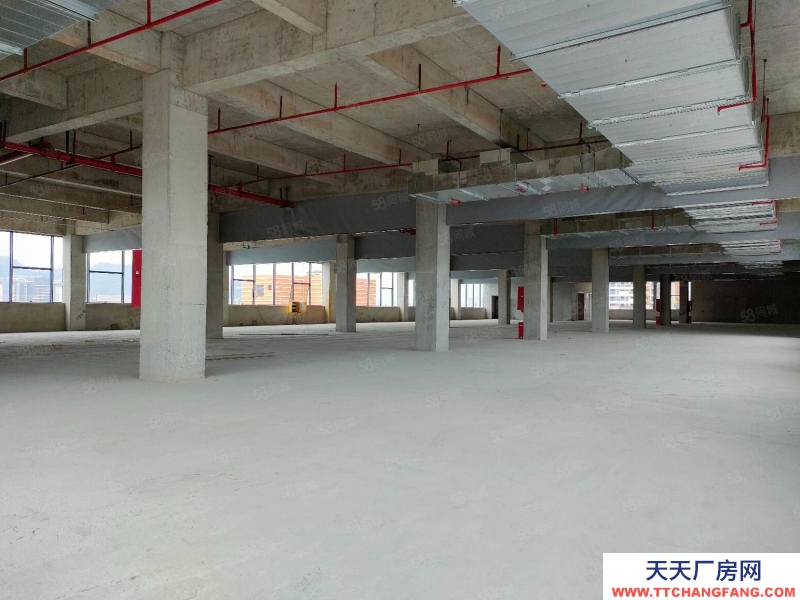 (出售) 東莞東坑一樓廠房出售1400平起售50年紅本產權標準層3000平