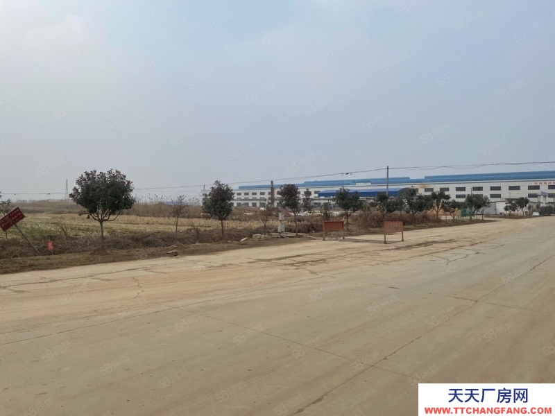 (出售) 蚌埠淮上沫河口工業(yè)園 285畝土地 50000平方廠房 主路邊上