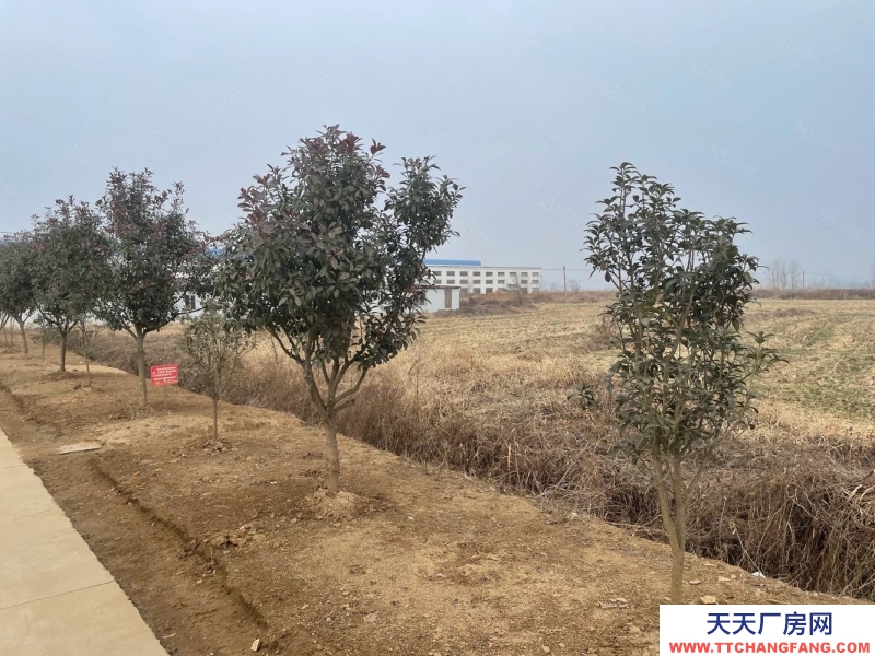 (出售) 蚌埠淮上沫河口工業(yè)園 285畝土地 50000平方廠房 主路邊上