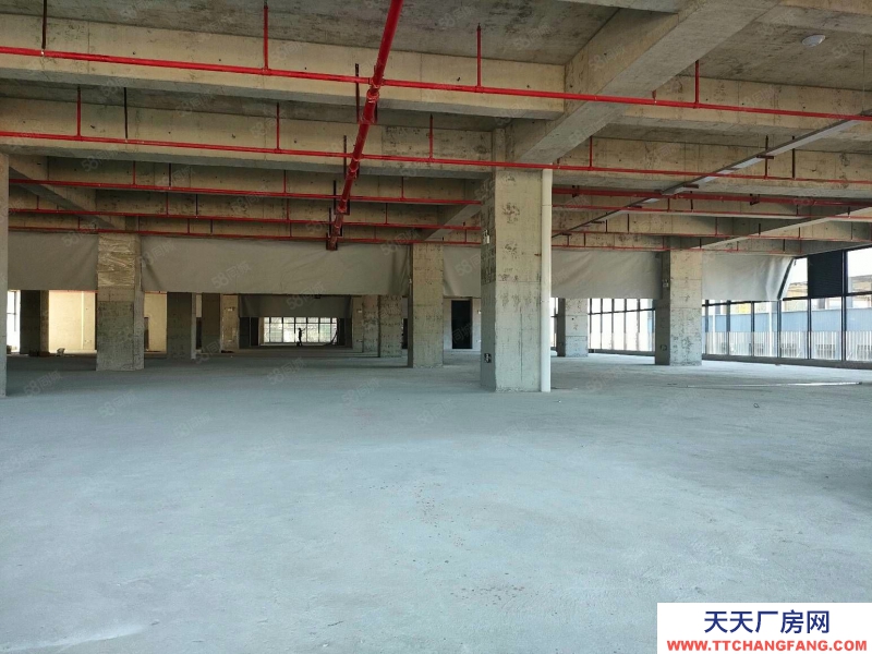 (出售) 東莞常平紅本廠房出售1200平 單層2400平 首付3成