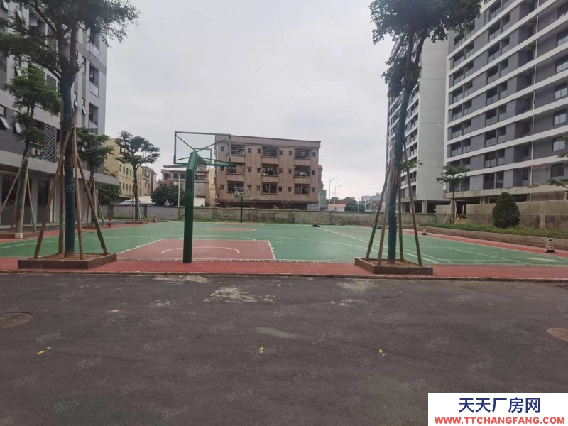 (出售) 東莞兩層廠房好用適合各種行業空地4668平米附送產權清晰無任何問