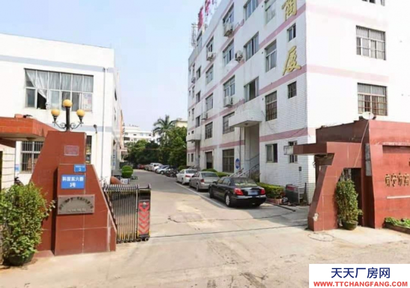 南寧市西鄉(xiāng)塘區(qū)(出租) 科園大道快環(huán)邊廠房寫字樓辦公室分租