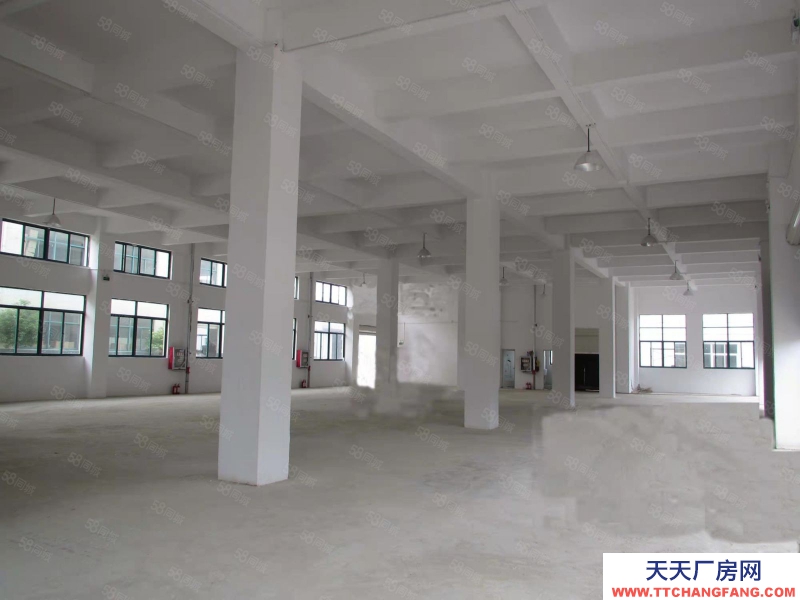 (出租) 蚌埠淮上區(qū)龍興路308號新廠房招租 城市快迅免費介紹