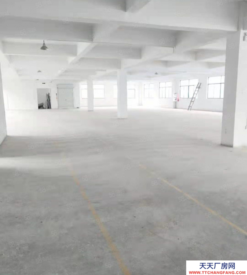 (出租) 蚌埠淮上區(qū)龍興路308號新廠房招租 城市快迅免費介紹