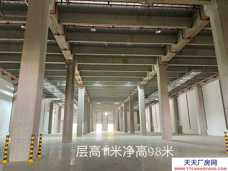 杭州臨安(出租) 環(huán)球科創(chuàng)園12萬(wàn)方高標(biāo)坡道倉(cāng)出租