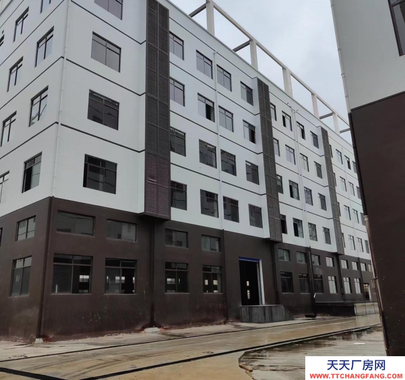 南寧市西鄉(xiāng)塘區(qū)(出租) 標(biāo)準(zhǔn)廠房，每平方承重1.5噸，雙電梯5噸