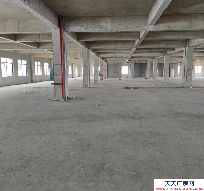 南寧市西鄉塘區(出租) 標準廠房，每平方承重1.5噸，雙電梯5噸