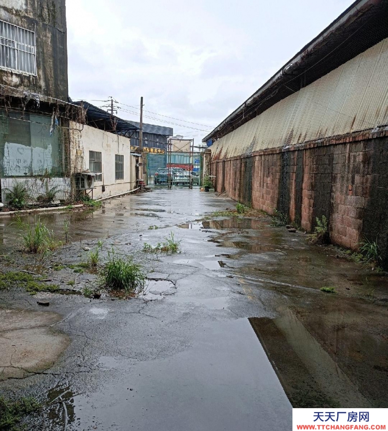 南寧市西鄉(xiāng)塘區(qū)(出租) 安吉廠房出租地鐵口18元/平可辦證營業(yè)或當倉庫3935228