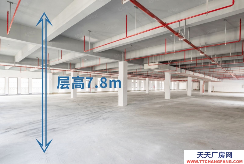 (出售) 東莞臨港經濟帶，世界13強開發，廠房單價4500元起，低稅收