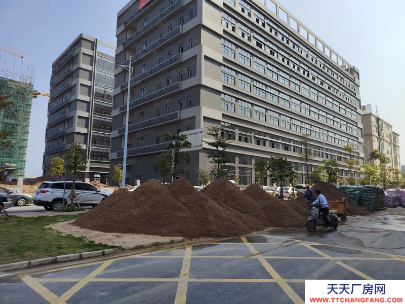 (出售) 東莞低價出售石排鎮新出全新標準廠房1000平方起售,無稅收要求