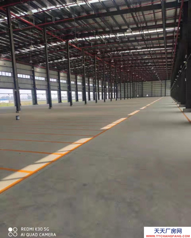 (出租) 蚌埠淮上高遠物流園區高標庫出租