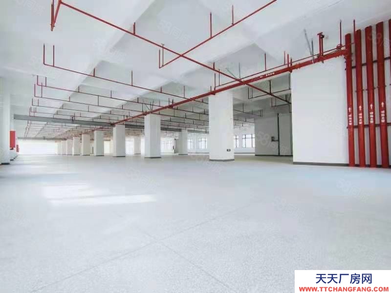 (出租) 東莞鳳崗4000平方米紅本全新電商倉庫出租)帶卸貨平臺6部貨梯