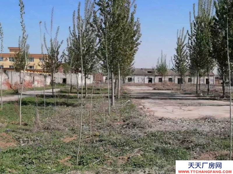 保定 順平 15000平廠區各種手續齊全出租出售合作多種形式