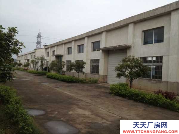 株洲市天元區(qū)天易科技城倉庫優(yōu)惠出租