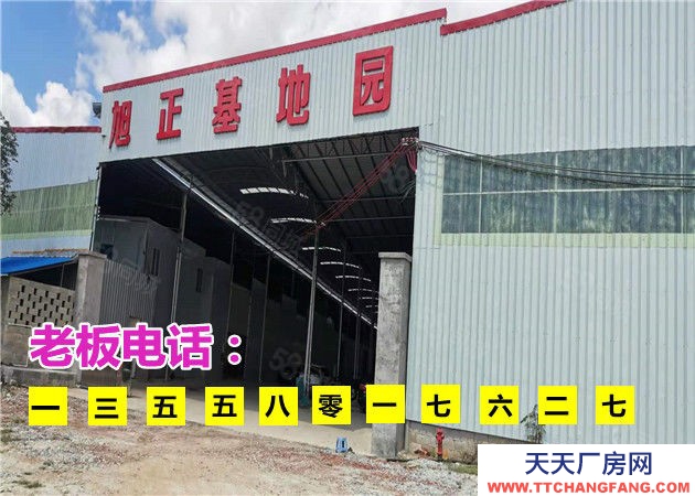 (出租) 低價急租，石埠奶場旁300一4500平廠房倉庫，生產(chǎn)車間