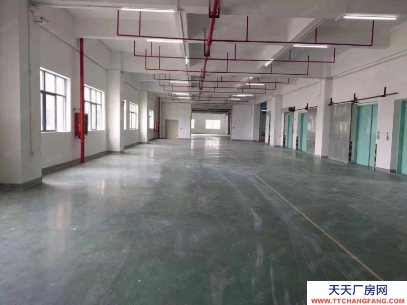 (出租) 東莞鳳崗新出3000平方米樓上倉庫出租）適合物流，電商，倉儲