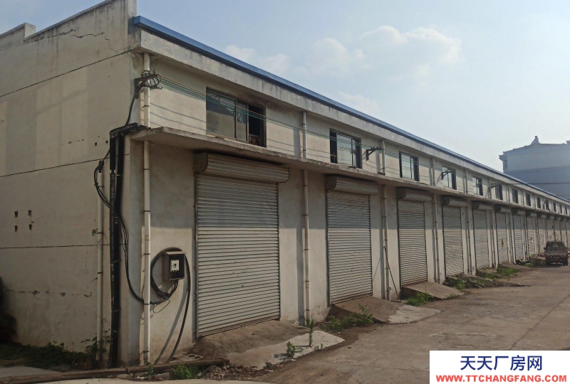 棗莊山亭24米跨度6米大開間大空間利用率超高整租分租都可