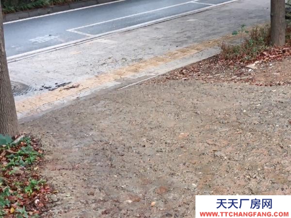 株洲市天元區可整租可分租！另有單間住房出租！