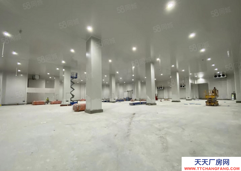 (出租) 東莞麻涌高標冷倉可長租可短租