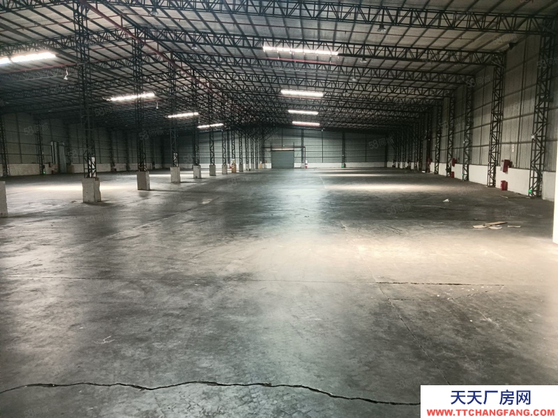 (出租) 東莞麻涌 原房東2.2萬平米 高臺倉庫 實量出租