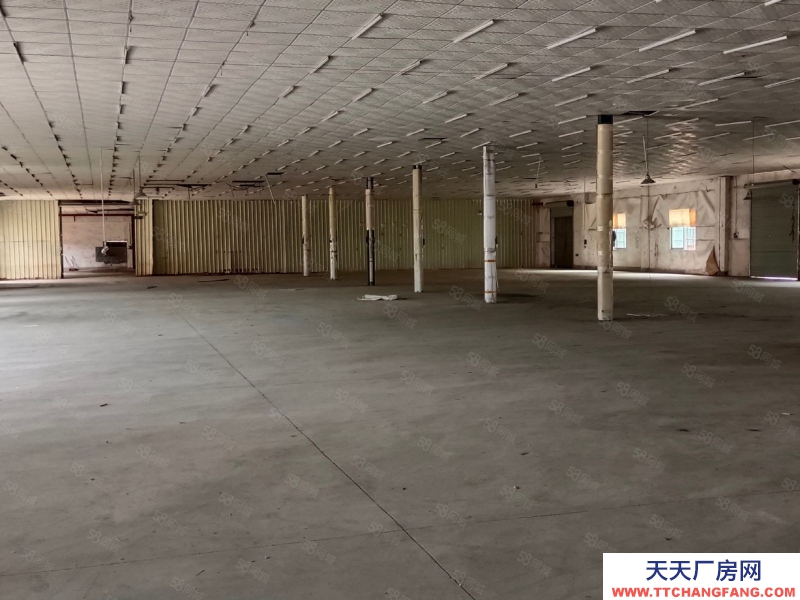 (出租) 東莞謝崗鎮(zhèn)粵海產(chǎn)業(yè)園附近倉(cāng)庫(kù)直租,大小面積可分!