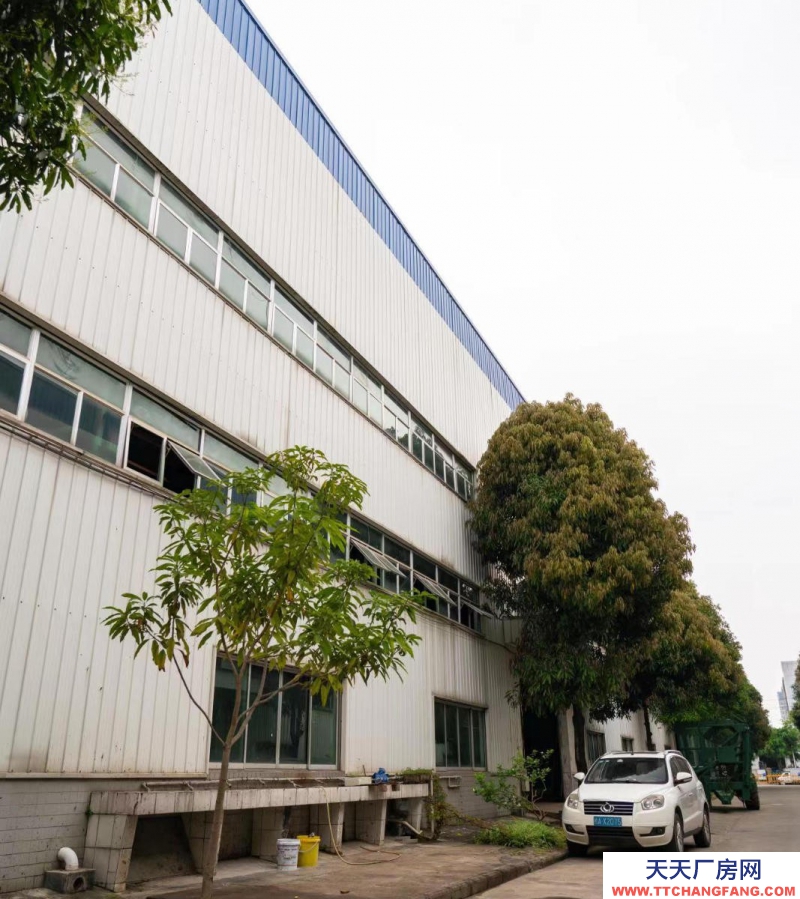 南寧市西鄉塘區(出租) 高新區高新五路廠房12米高有5噸航吊鋼結構標準廠房倉庫出租