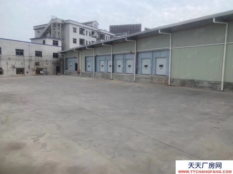 (出租) 東莞鳳崗雁田冷庫(kù)4000平方，大小可分租，靠近平湖零下18度