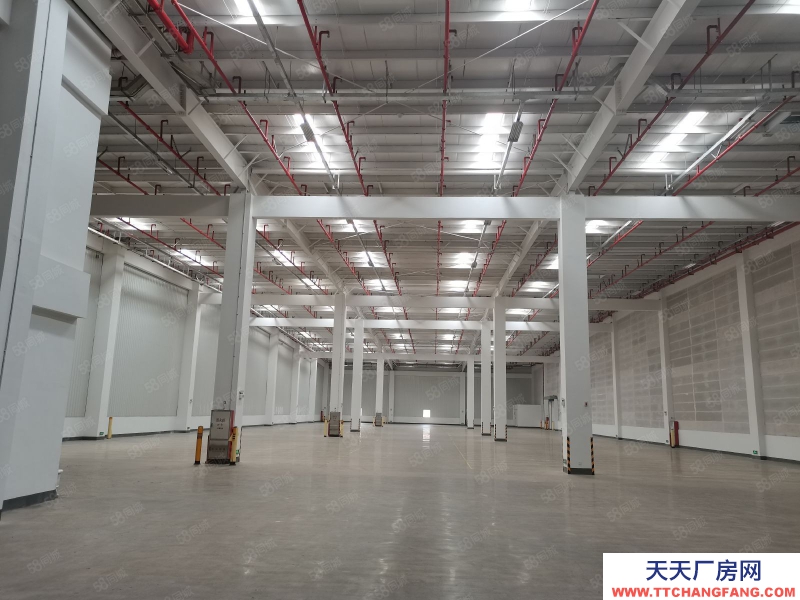 (出租) 東莞靠近廣州黃浦麻涌新沙港高臺倉出租總面積40000平可分租