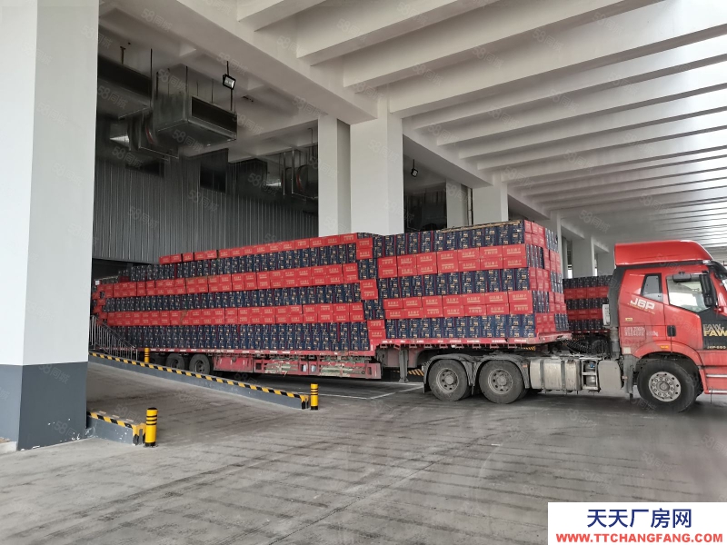 (出租) 東莞靠近廣州黃浦麻涌新沙港高臺倉出租總面積40000平可分租