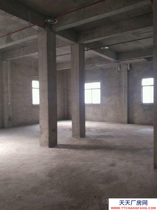 南寧市西鄉塘區(出租) 倉庫、小型加工廠出租