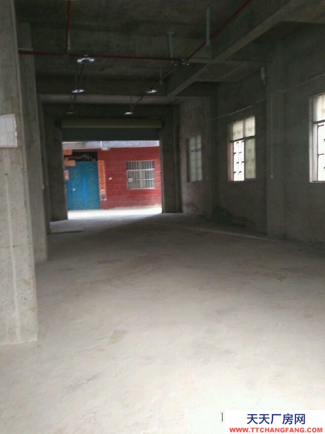 南寧市西鄉塘區(出租) 倉庫、小型加工廠出租