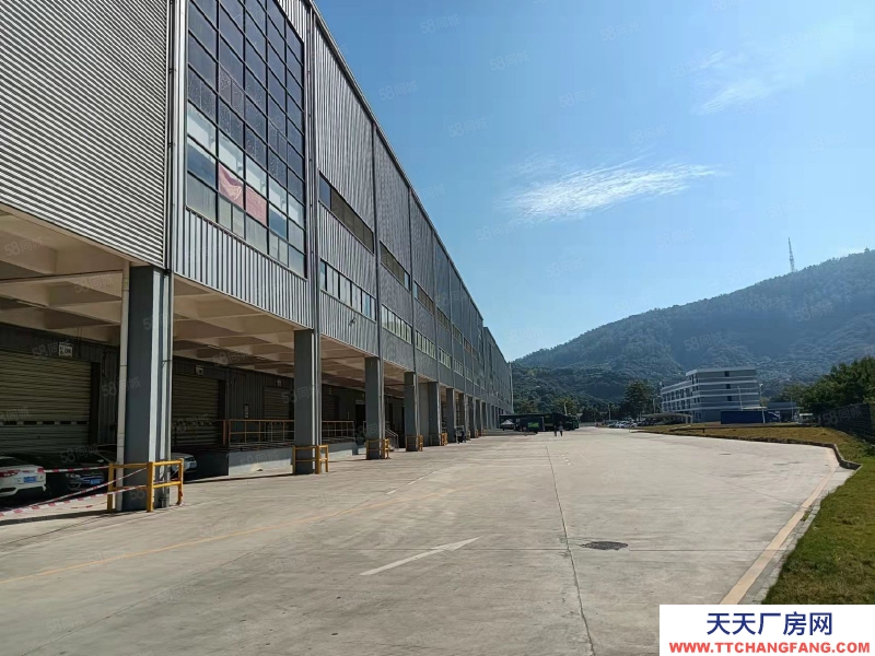 (出租) 東莞市區(qū)周邊高標倉庫2萬平,雙邊卸貨平臺。