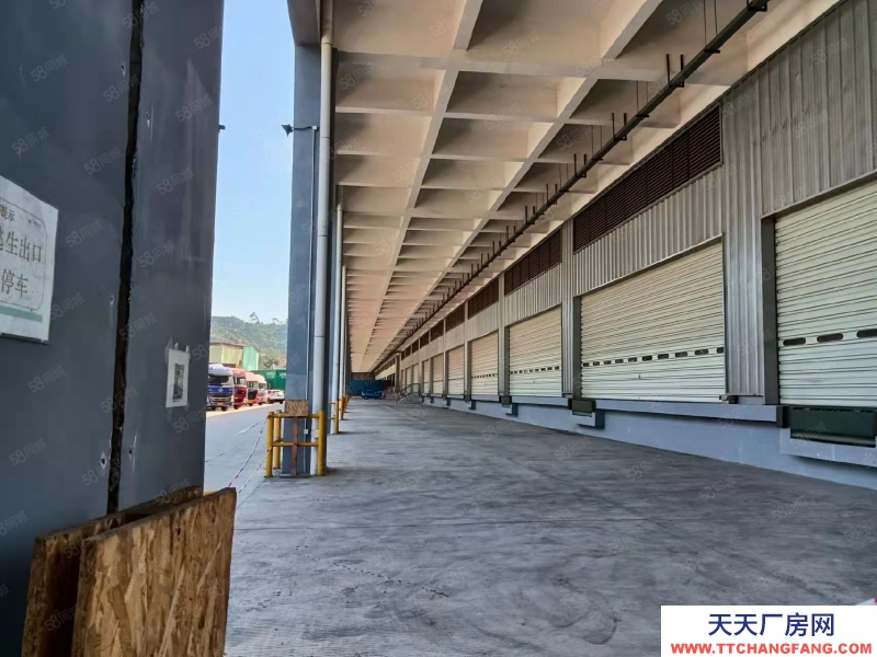 (出租) 東莞市區(qū)周邊高標倉庫2萬平,雙邊卸貨平臺。