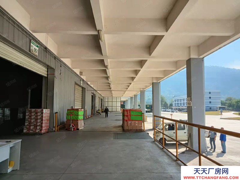 (出租) 東莞市區(qū)周邊高標倉庫2萬平,雙邊卸貨平臺。