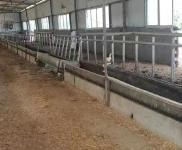 (出租) 廠地大，廠房多以前是養(yǎng)殖的，可辦養(yǎng)殖