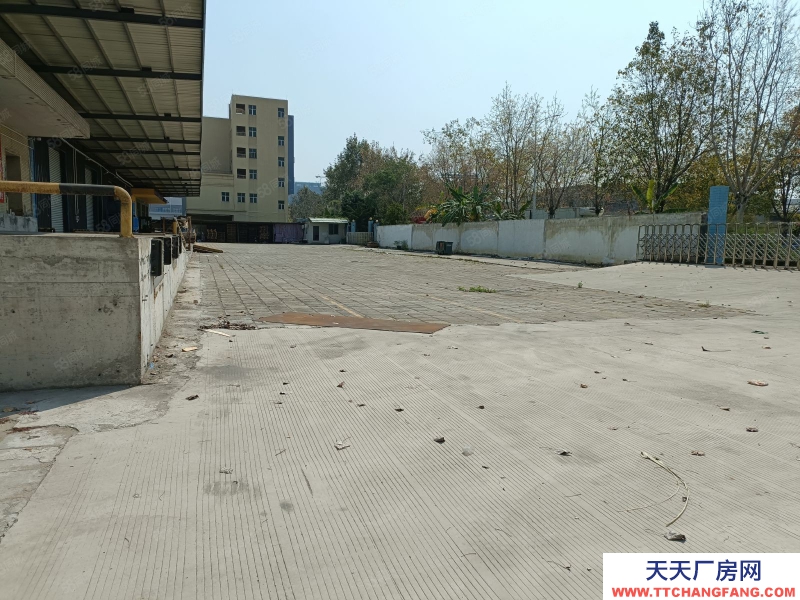 (出租) 東莞原房東高速路口港口麻涌新沙港附近倉(cāng)庫(kù)低價(jià)廠房出租