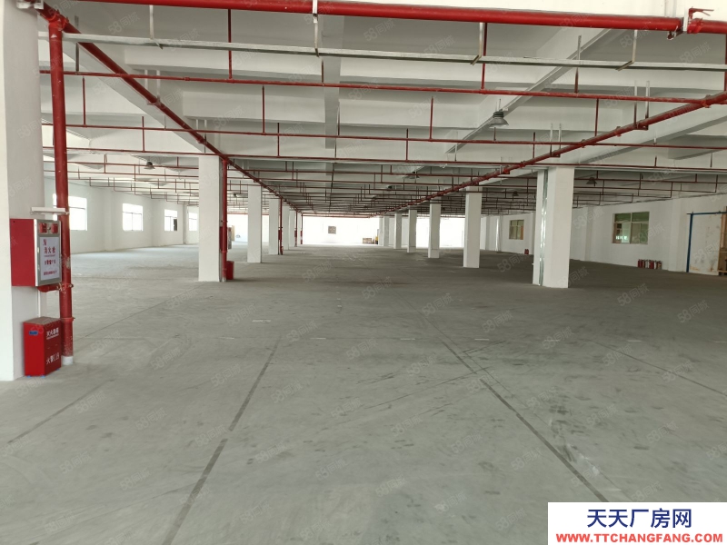 (出租) 東莞原房東高速路口港口麻涌新沙港附近倉(cāng)庫(kù)低價(jià)廠房出租