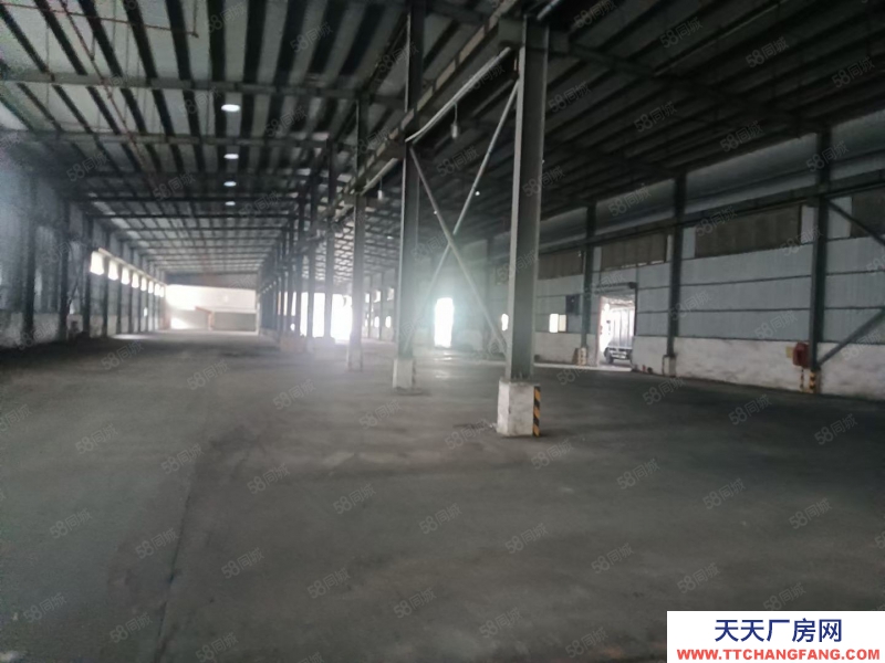 (出租) 東莞臨深鳳崗鎮8米帶牛角鋼結構獨院5000平方，1000平起分租