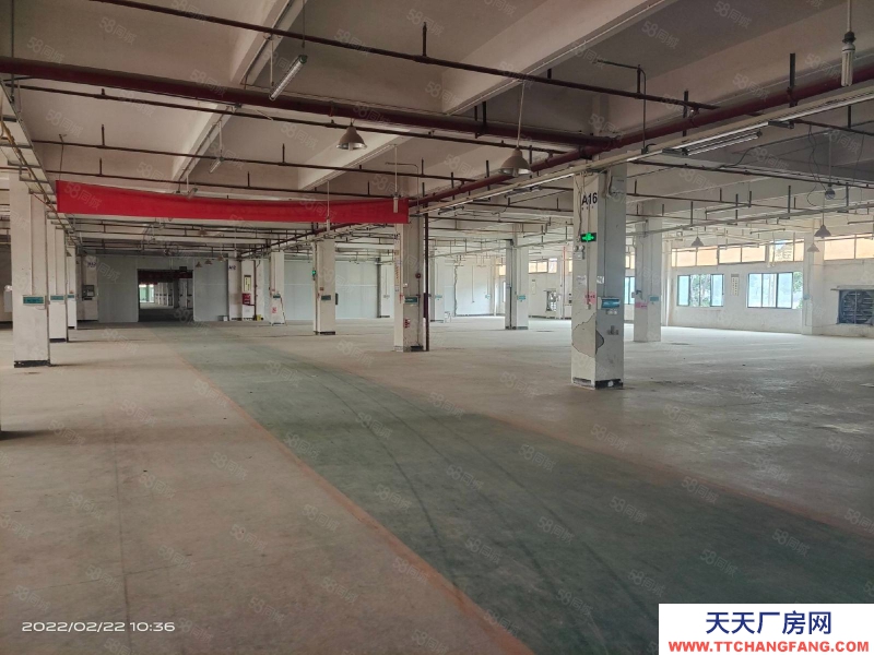 (出租) 東莞倉庫丙二類消防，帶卸貨平臺，5噸電梯大小分組靠高速口